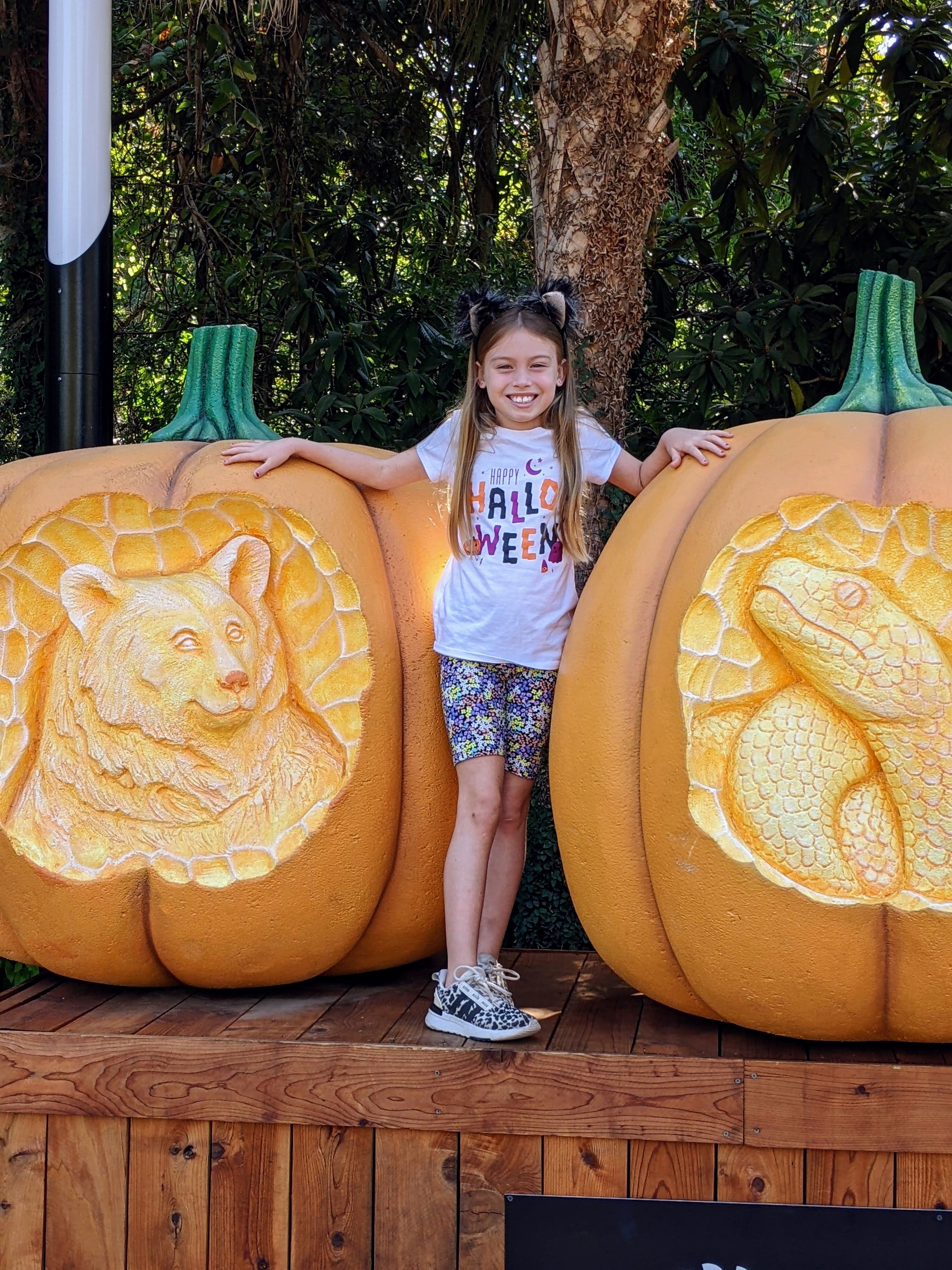 Pumpkin Patches and Corn Mazes Worth the Trip This Fall