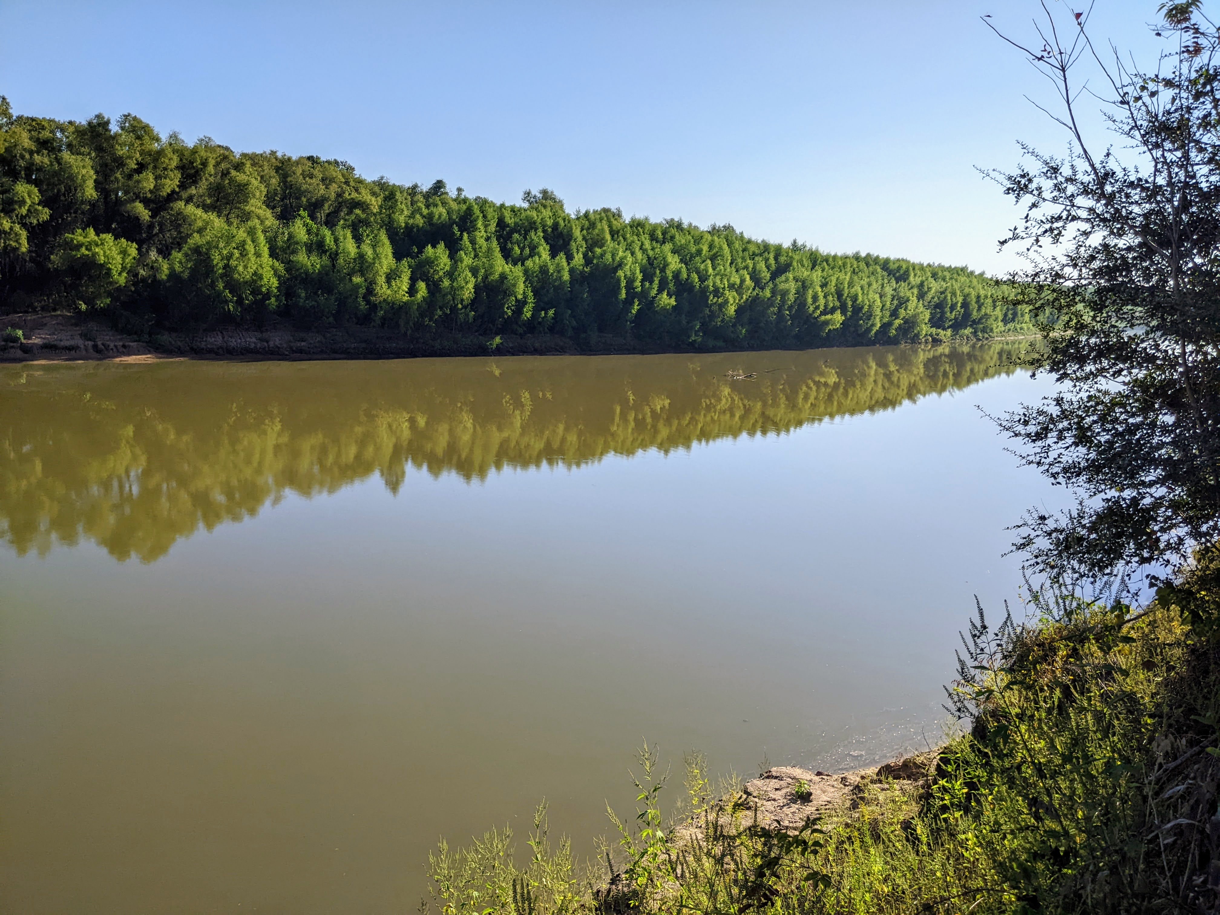 Exploring Stephen F. Austin State Park with Kids: A Family Adventure in the Heart of Texas