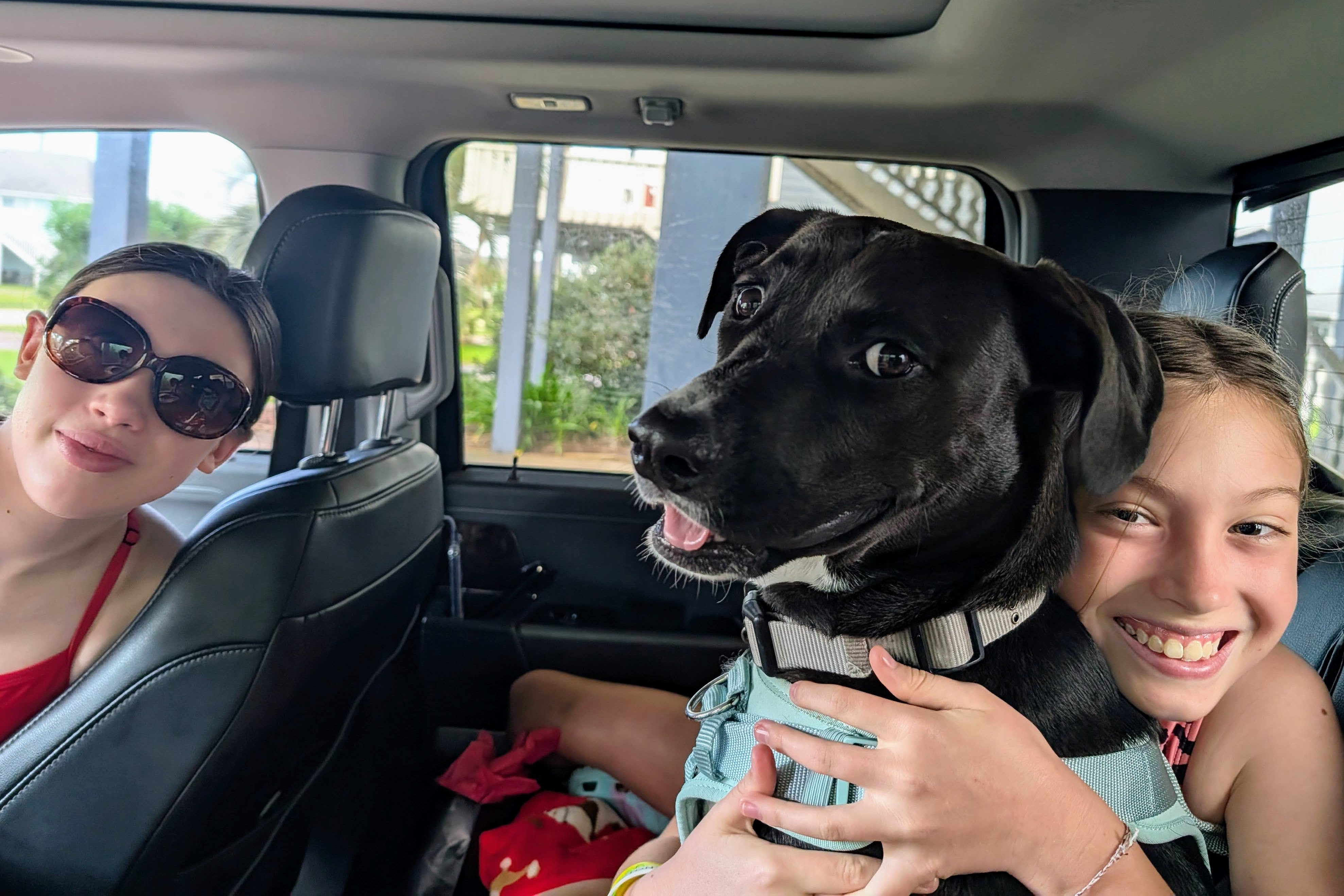 Pet-Friendly Family Vacations: How to Make Travel with Kids and Dogs Easy and Fun
